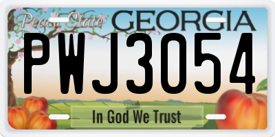 GA license plate PWJ3054