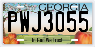 GA license plate PWJ3055