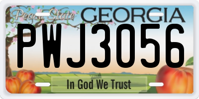 GA license plate PWJ3056