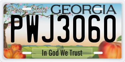 GA license plate PWJ3060