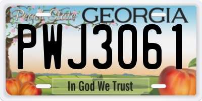 GA license plate PWJ3061