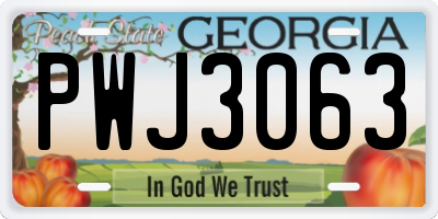 GA license plate PWJ3063