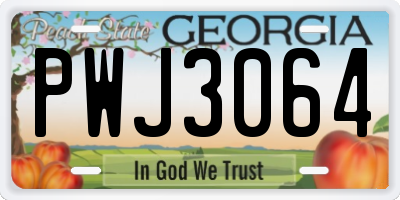 GA license plate PWJ3064