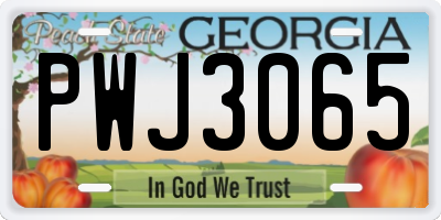 GA license plate PWJ3065