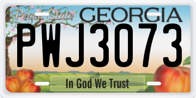GA license plate PWJ3073