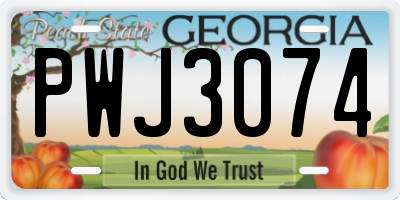 GA license plate PWJ3074