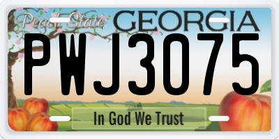 GA license plate PWJ3075