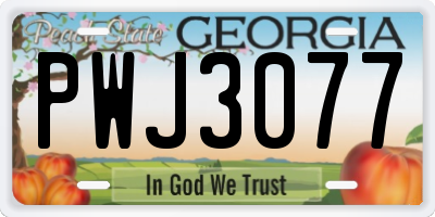 GA license plate PWJ3077