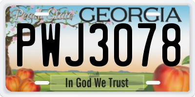 GA license plate PWJ3078