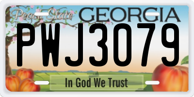 GA license plate PWJ3079