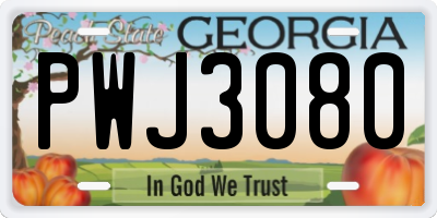 GA license plate PWJ3080