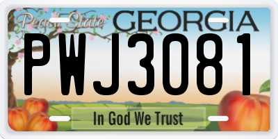 GA license plate PWJ3081
