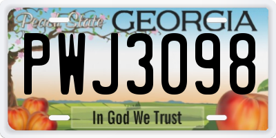 GA license plate PWJ3098