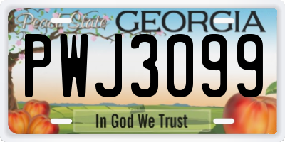GA license plate PWJ3099