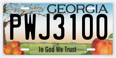 GA license plate PWJ3100