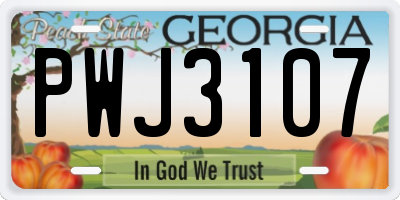 GA license plate PWJ3107