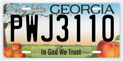 GA license plate PWJ3110