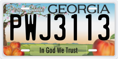 GA license plate PWJ3113