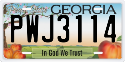 GA license plate PWJ3114