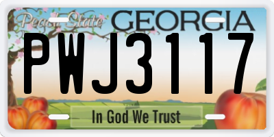 GA license plate PWJ3117
