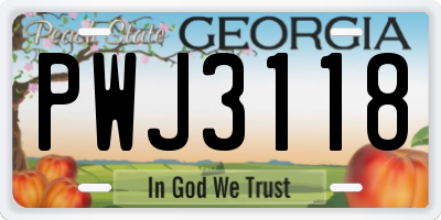GA license plate PWJ3118