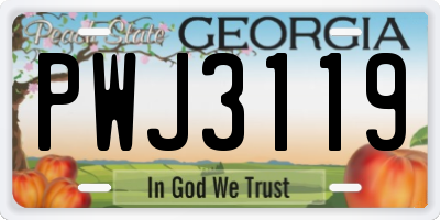 GA license plate PWJ3119
