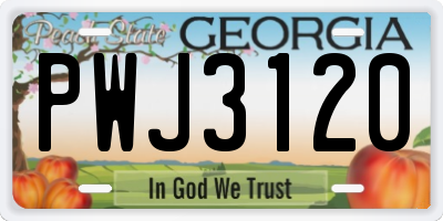 GA license plate PWJ3120