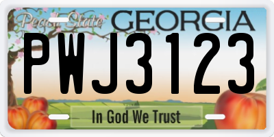 GA license plate PWJ3123