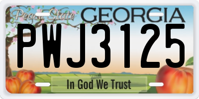 GA license plate PWJ3125
