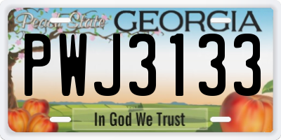 GA license plate PWJ3133