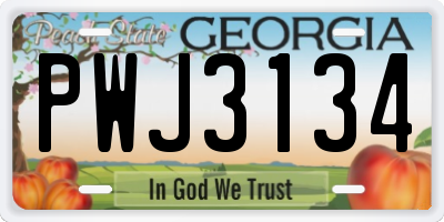 GA license plate PWJ3134