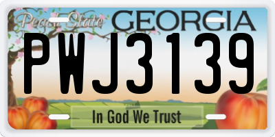 GA license plate PWJ3139