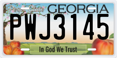 GA license plate PWJ3145