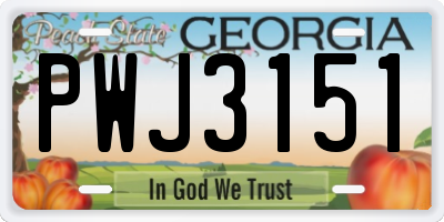 GA license plate PWJ3151