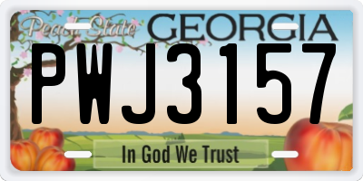 GA license plate PWJ3157