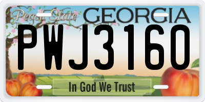 GA license plate PWJ3160