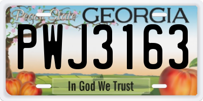 GA license plate PWJ3163