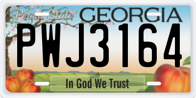 GA license plate PWJ3164