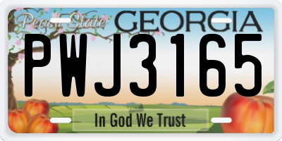 GA license plate PWJ3165