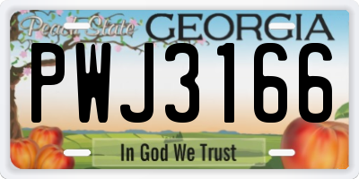GA license plate PWJ3166