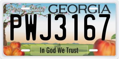 GA license plate PWJ3167