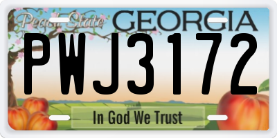 GA license plate PWJ3172