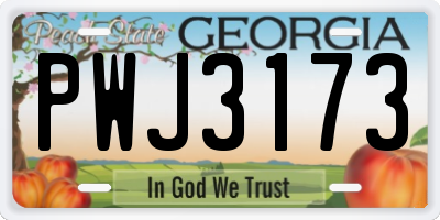 GA license plate PWJ3173