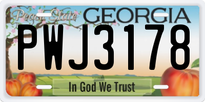 GA license plate PWJ3178