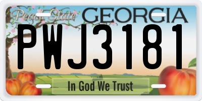 GA license plate PWJ3181