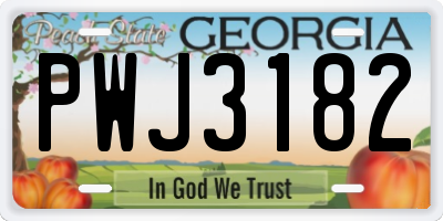 GA license plate PWJ3182
