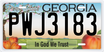 GA license plate PWJ3183