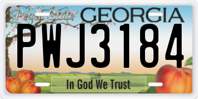 GA license plate PWJ3184