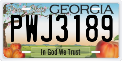 GA license plate PWJ3189