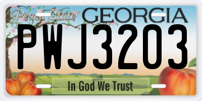 GA license plate PWJ3203